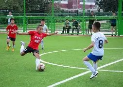 年歐洲杯八,強激戰陣容,終於亮相,世界杯竞猜,2026世界杯,赔率分析,赛事预测,专家建议